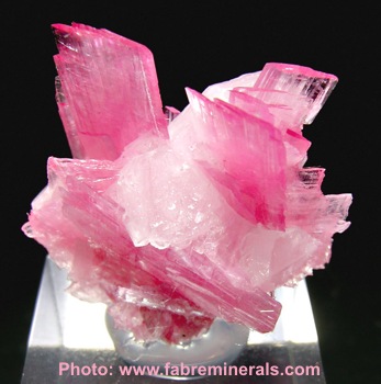 Rhodonite